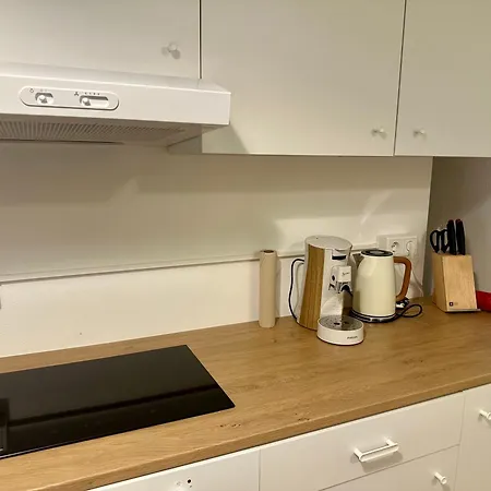 Ruhig & Terrasse Dresden-altstadt 3-zimmer Appartement *