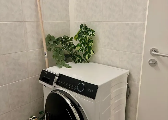 Appartamento Ruhig & Terrasse Dresden-altstadt 3-zimmer