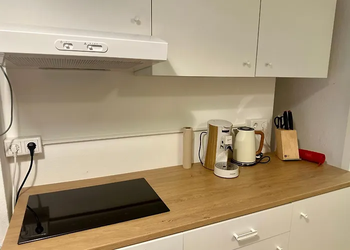 Ruhig & Terrasse Dresden-altstadt 3-zimmer Appartamento *